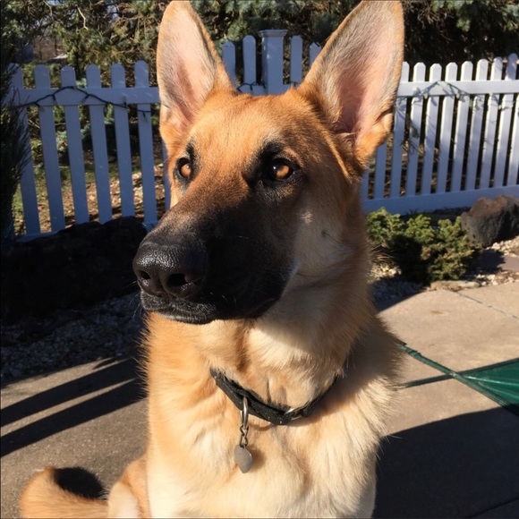 THANK YOU_ Rest in peace my love - Picture 4 of 12